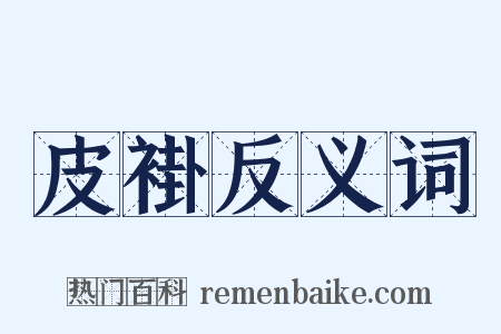 皮褂反义词是什么意思的图片